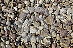 Seaside pebble texture image no.2
