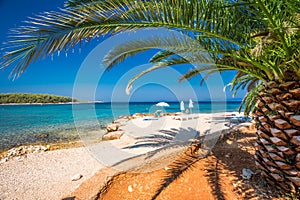 Seaside promenade on Brac island with palm trees and turquoise clear ocean water, Supetar, Brac, Croatia photo