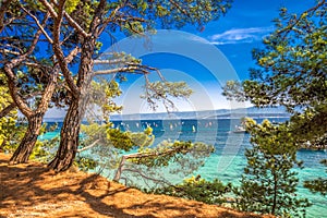 Seaside promenade on Brac island with pine trees and turquoise clear ocean water, Bol, Brac, Croatia