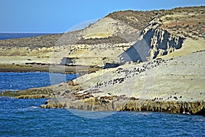 Seaside in Puerto Madryn Argentina.