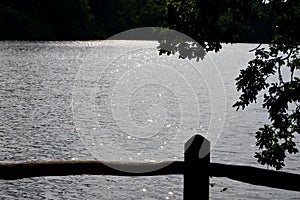 Seaside reflection water river beach sunset trees