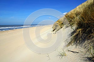 Seaside sand dunes on a sunny day