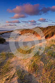 Seaside with sand dunes at sunset