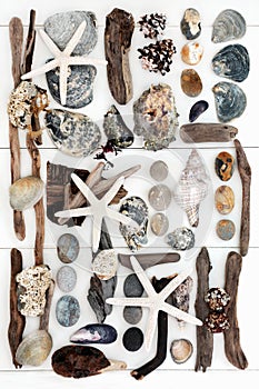 Seaside Treasure Collage