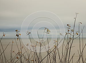 Seaside, winter 2017 - blue skies and yellowish waters.