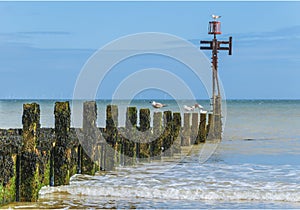 Seaside with wooden groyne going into sea photo