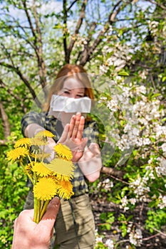 Season allergy to flowering plants pollen. Dandelion bouquet against young woman with paper handkerchief in garden and