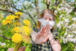 Season allergy to flowering plants pollen. Dandelion bouquet against young woman with paper handkerchief in garden and