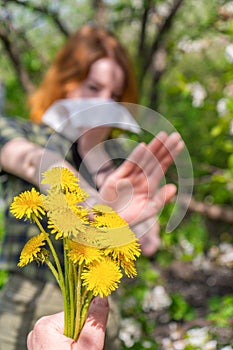 Season allergy to flowering plants pollen. Dandelion bouquet against young woman with paper handkerchief in garden and doing stop