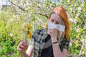 Season allergy to flowering plants pollen. Young woman with dandelion bouquet and paper handkerchief covering her nose in garden.
