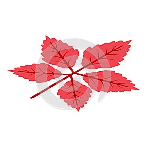 Season autumn leaf icon, isometric style