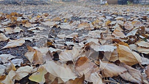 Season of change is here