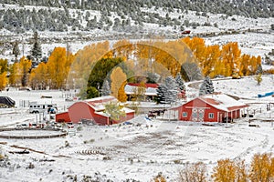 Season changing, first snow and autumn trees