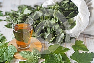 The season of collecting young leaves of blackcurrant for drying and use as tea. Leaves of fresh currant, a glass of loose tea on