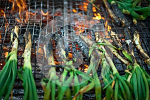 Season of delicious charcoal grilled calsots