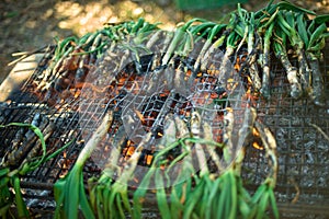 Season of delicious charcoal grilled calsots