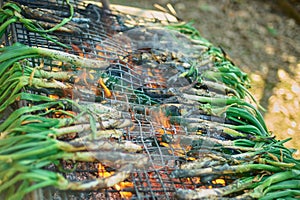 Season of delicious charcoal grilled calsots