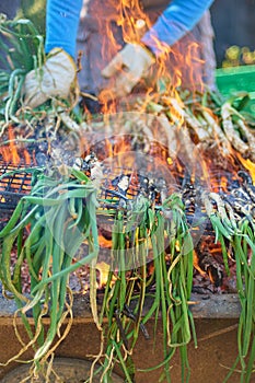 Season of delicious charcoal grilled calsots