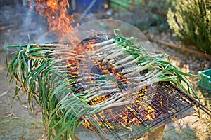 Season of delicious charcoal grilled calsots