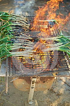 Season of delicious charcoal grilled calsots