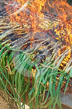 Season of delicious charcoal grilled calsots