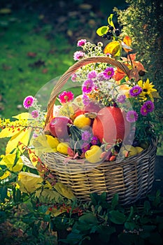 Season garden basket fruit gifts autumn