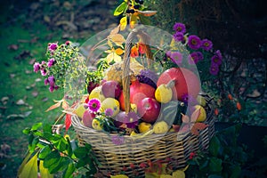 Season garden basket fruit gifts autumn