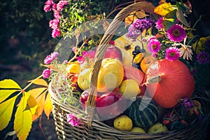 Season garden basket fruit gifts autumn