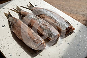 Season of new Dutch herring fresh salted fish ready to eat, traditional food in Netherlands