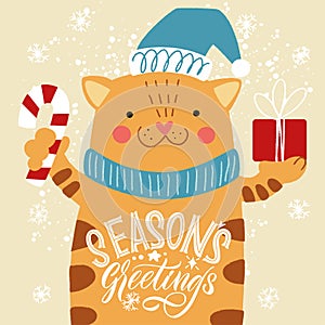 Season`s greetings. White cat with a gift and an inscription on its belly. Merry Christmas and Happy new year 2021.