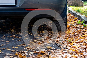 Season tire change. Car with new winter tires on the road for autumn leaves.