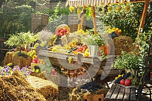 Seasonal agricultural market goods display. Colorful fruits and vegetables for autumn decorations at the agriculture fair. - Image