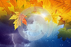 Seasonal autumn background, fall weather forecast concept