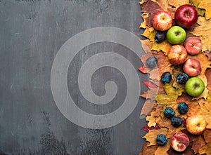 Seasonal autumn background. Frame of colorful maple leaves, grapes, peaches, nectarines, plums and apples.