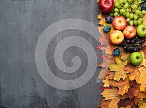 Seasonal autumn background. Frame of colorful maple leaves, grapes, peaches, nectarines, plums and apples.