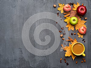Seasonal autumn background. Frame of colorful maple leaves, peaches and apples over grey