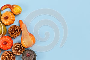 Seasonal autumn flat lay with various small pumpkins and pine cones at side of light blue background with copy space