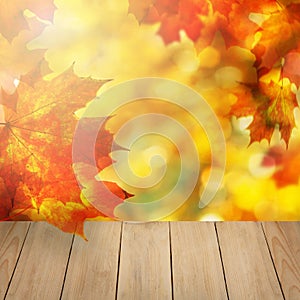 Seasonal autumn frame decoration arranged with fall leaves. Golden time