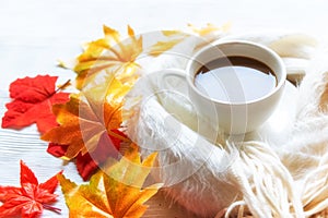Seasonal autumn maple leaves.  Cup coffee hot steaming  warm scarf