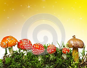 Seasonal background with mushrooms