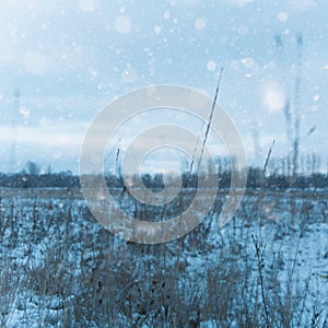 Seasonal backgrounds with snow covered field