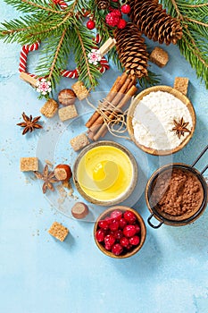 Seasonal baking winter. Ingredients for Christmas baking - cocoa, cranberries, spices, nuts, flour and eggs.