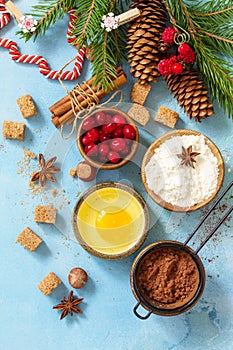 Seasonal baking winter. Ingredients for Christmas baking - cocoa, cranberries, spices, nuts, flour and eggs.