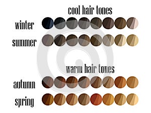 Seasonal color analysis hair colors palette for all types of female appearance