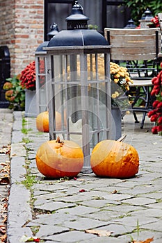 Seasonal decorations with pumpkins, lantern with candle and flowers