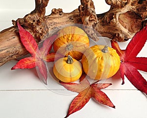 A seasonal display with pumpkins