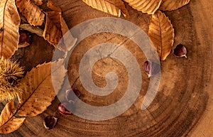 seasonal fall background with leaves, chestnuts and a log photo