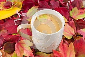 Seasonal Fall Coffee