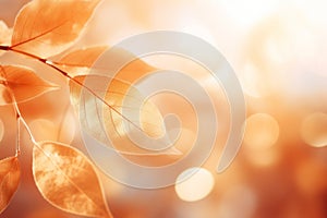 Seasonal fall foliage with detail textures, frame from autumn leaves. Yellow orange beige gradient color. Botanical