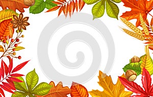 Seasonal fall frame with autumn foliage